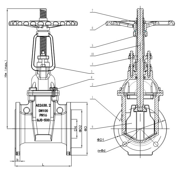 Rising Stem Resilient Seated Cast Iron Gate Valve